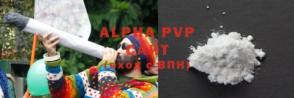 крисы Абаза