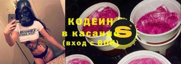 крисы Абаза