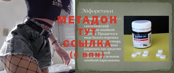 крисы Абаза