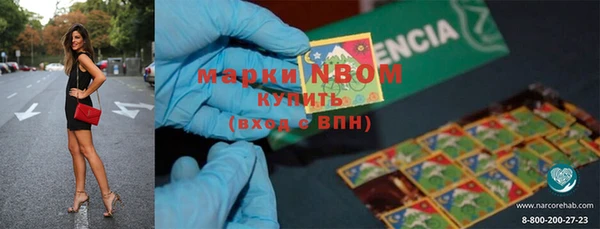 крисы Абаза