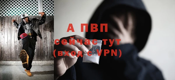 крисы Абаза