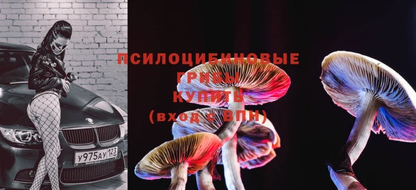 MESCALINE Няндома