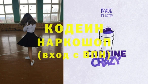 крисы Абаза