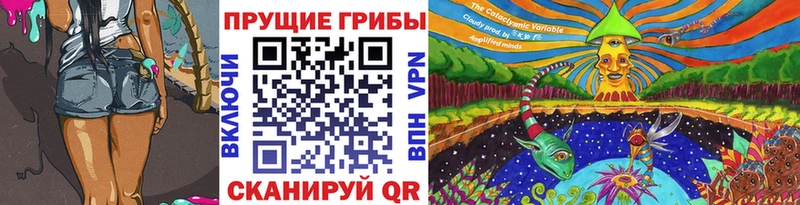 где купить кракен tor Галлюциногенные грибы Cubensis Советск